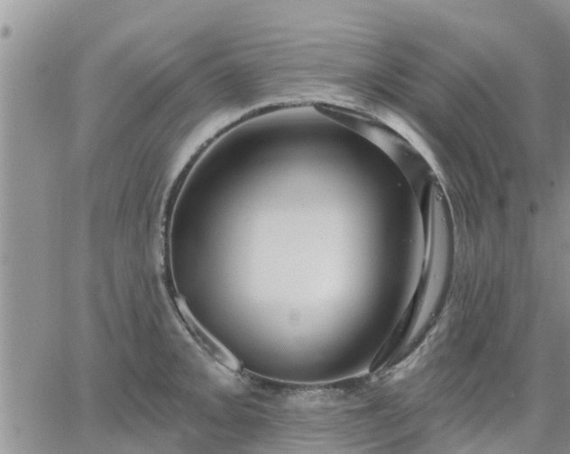 X0000064741093200602171701