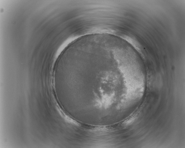 X0000064741094200602171701