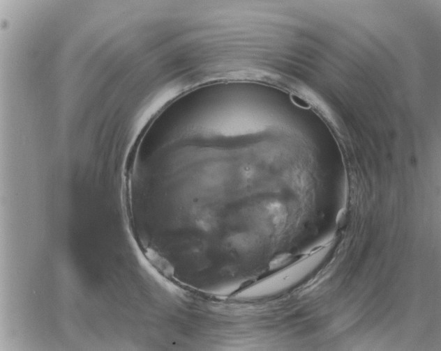 X0000064741095200602171701