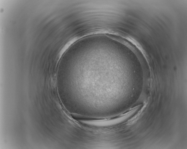 X0000064741097200602171701