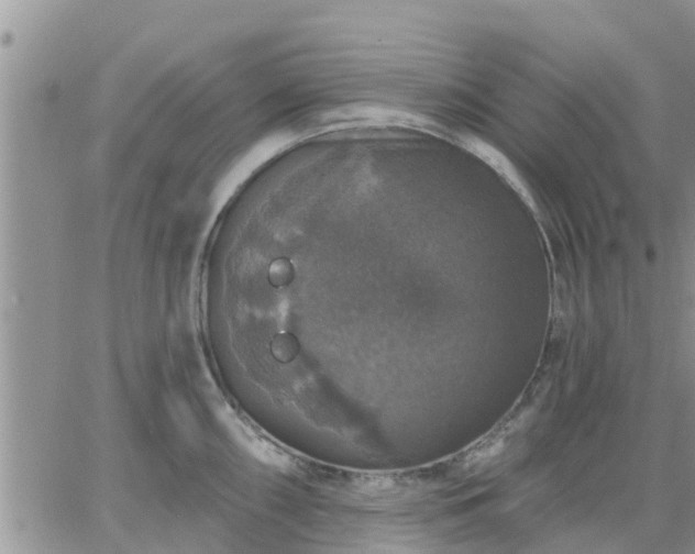 X0000064741098200602171701