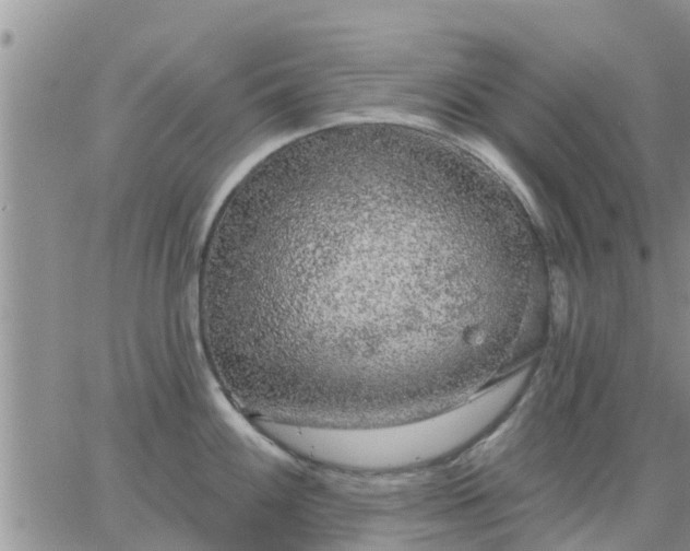 X0000064741100200602171701