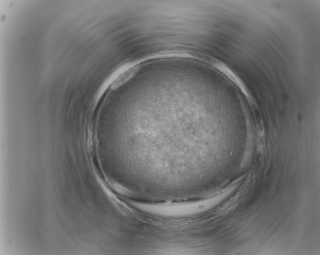 X0000064741101200602171701