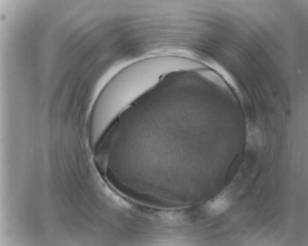 X0000064741102200602171701