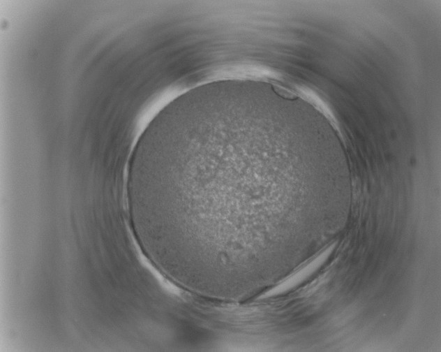 X0000064741103200602171701