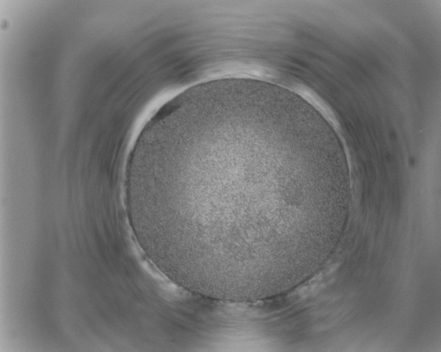 X0000064741104200602171701