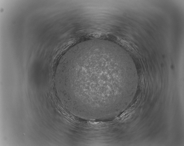 X0000064741105200602171700