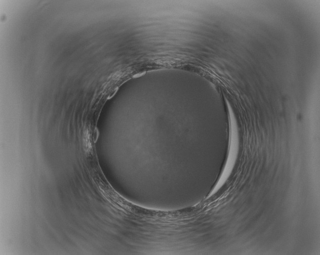 X0000064741106200602171700