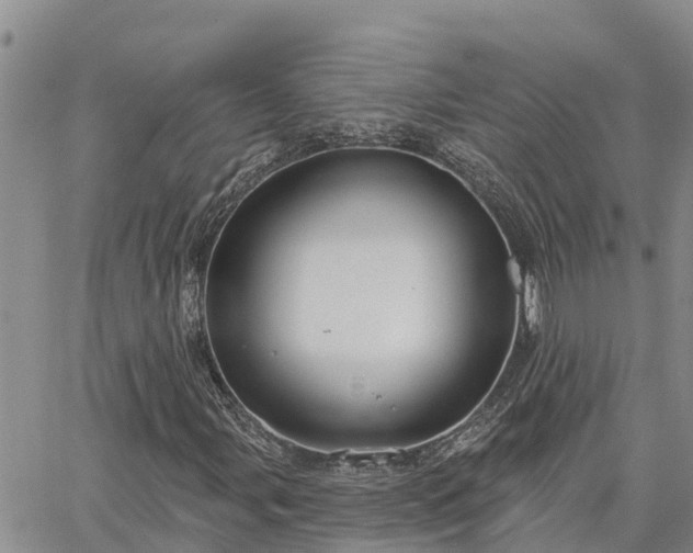 X0000064741107200602171700