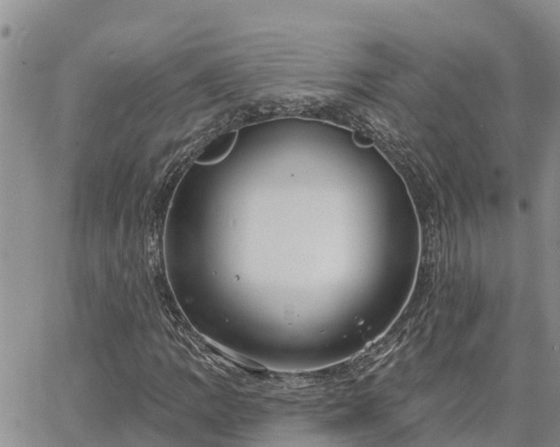 X0000064741109200602171700