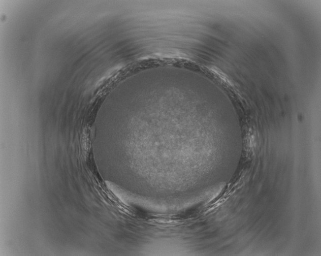 X0000064741110200602171700