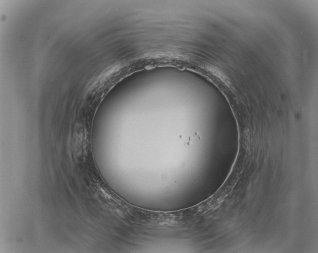 X0000064741111200602171700