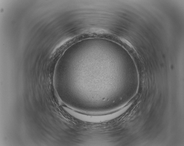 X0000064741112200602171700