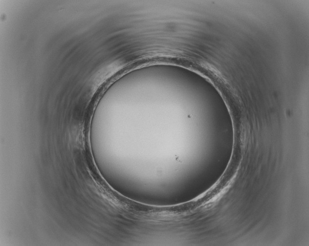 X0000064741113200602171700