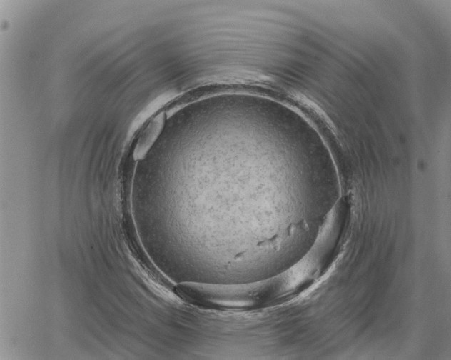 X0000064741114200602171700