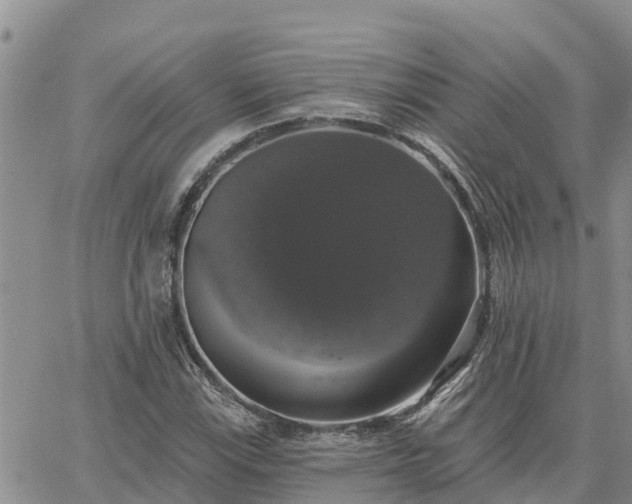 X0000064741115200602171700