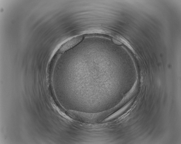 X0000064741116200602171700