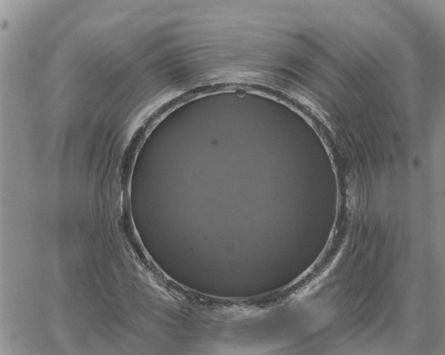 X0000064741117200602171700