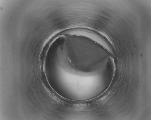 X0000064741118200602171700