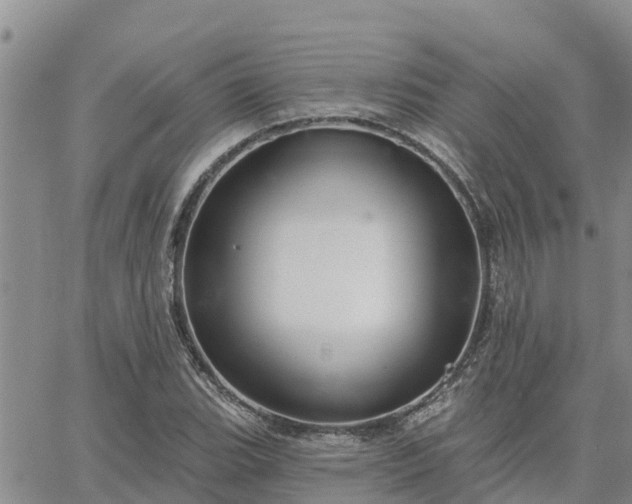 X0000064741119200602171700