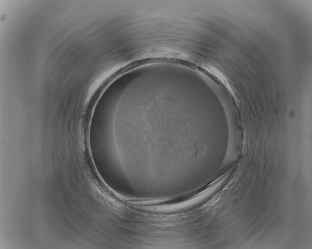 X0000064741120200602171700