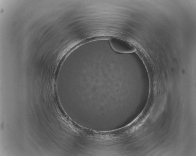 X0000064741121200602171700