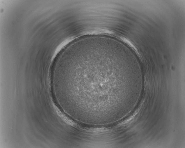 X0000064741122200602171700