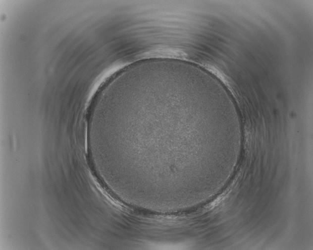 X0000064741123200602171700