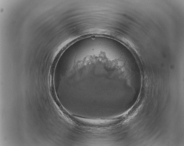 X0000064741125200602171700