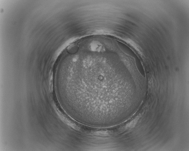 X0000064741126200602171700