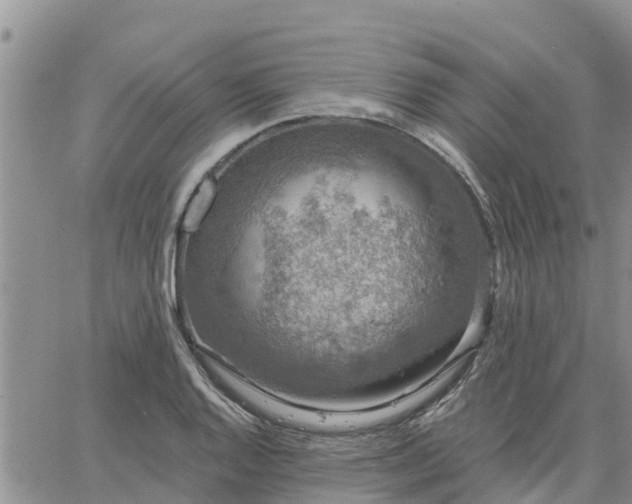 X0000064741128200602171700