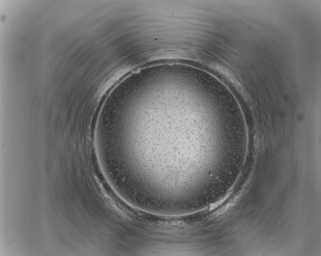 X0000064741129200602171700