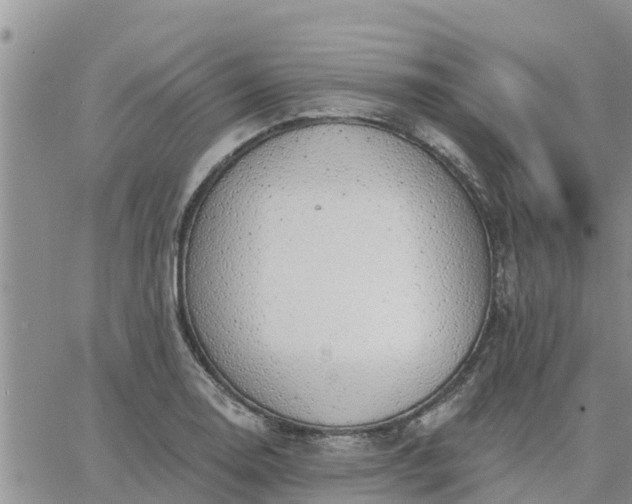 X0000064741130200602171700