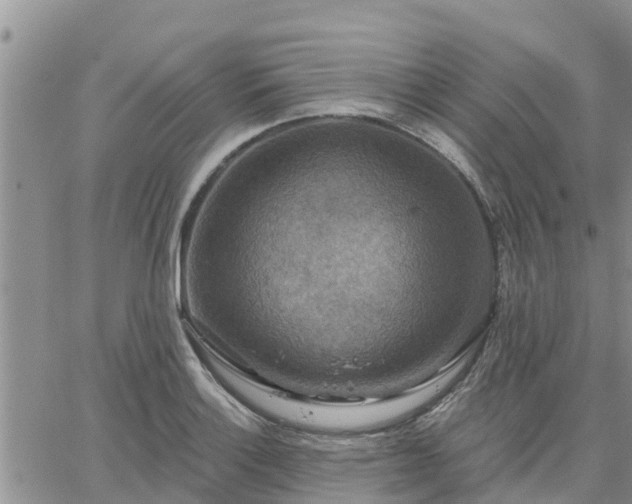 X0000064741132200602171700