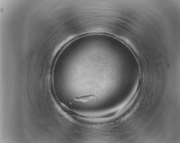 X0000064741134200602171700