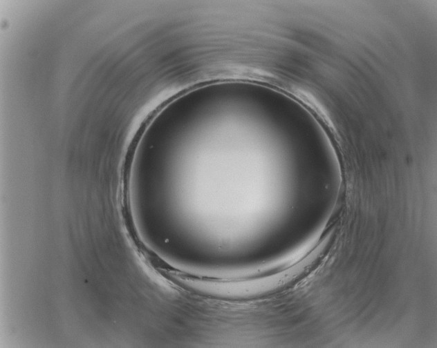 X0000064741136200602171700