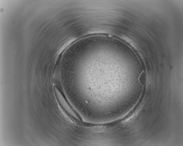 X0000064741137200602171700