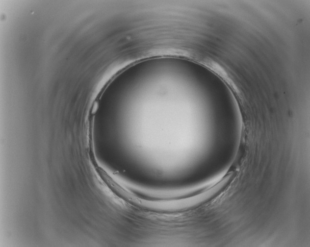 X0000064741140200602171700