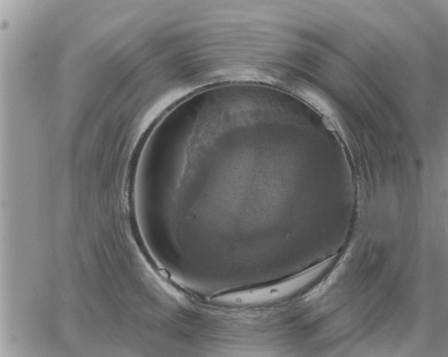 X0000064741141200602171700