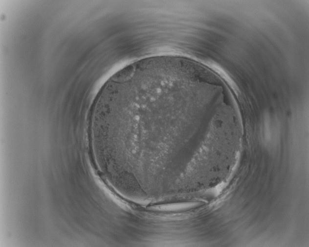 X0000064741142200602171700