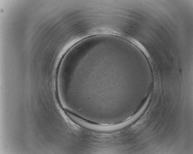 X0000064741144200602171700