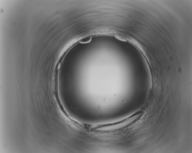 X0000064741147200602171700