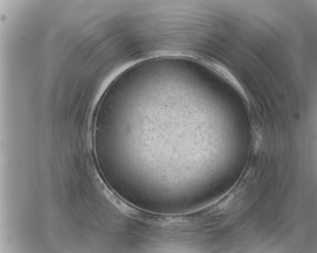 X0000064741148200602171700