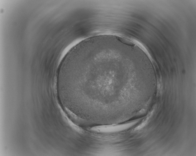 X0000064741149200602171700