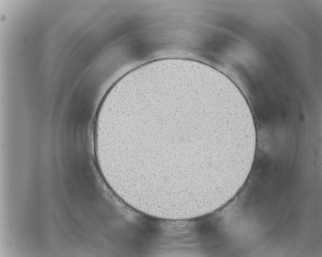 X0000064741150200602171701