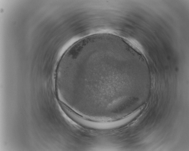 X0000064741151200602171701