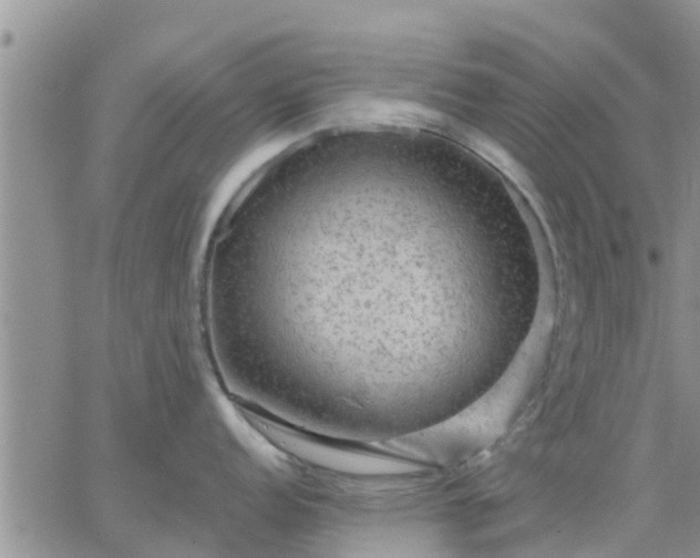 X0000064741152200602171701