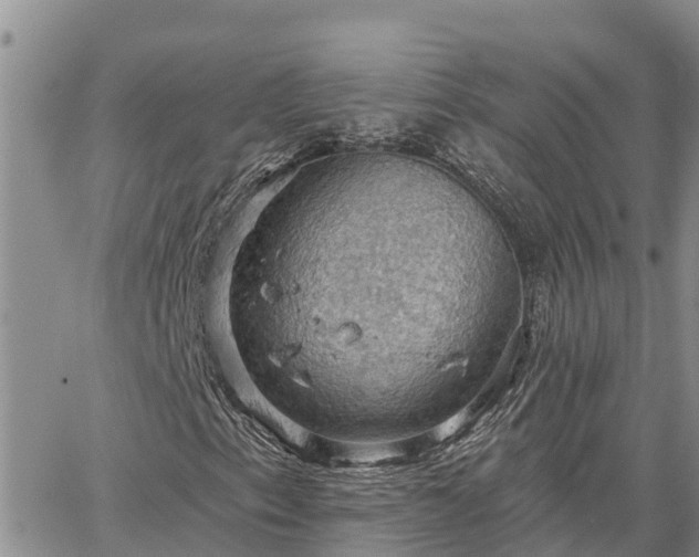 X0000064741153200602171700