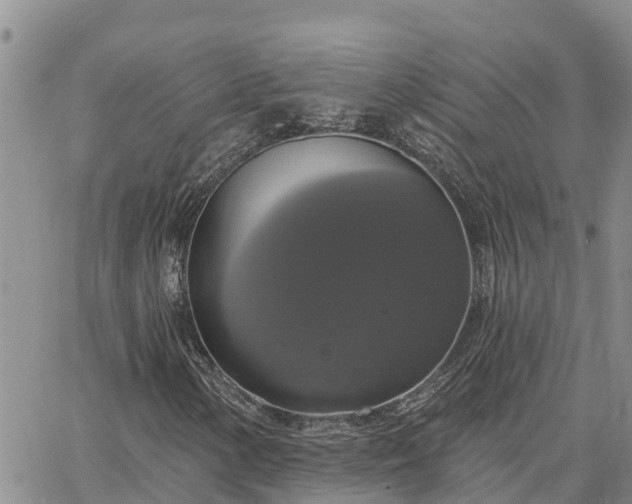 X0000064741154200602171700