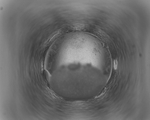 X0000064741155200602171700